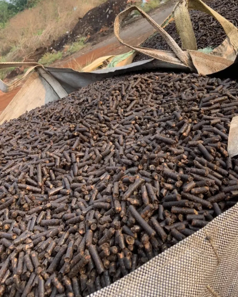 Cashew Husk Pellets – A Sustainable Biomass Fuel Solution