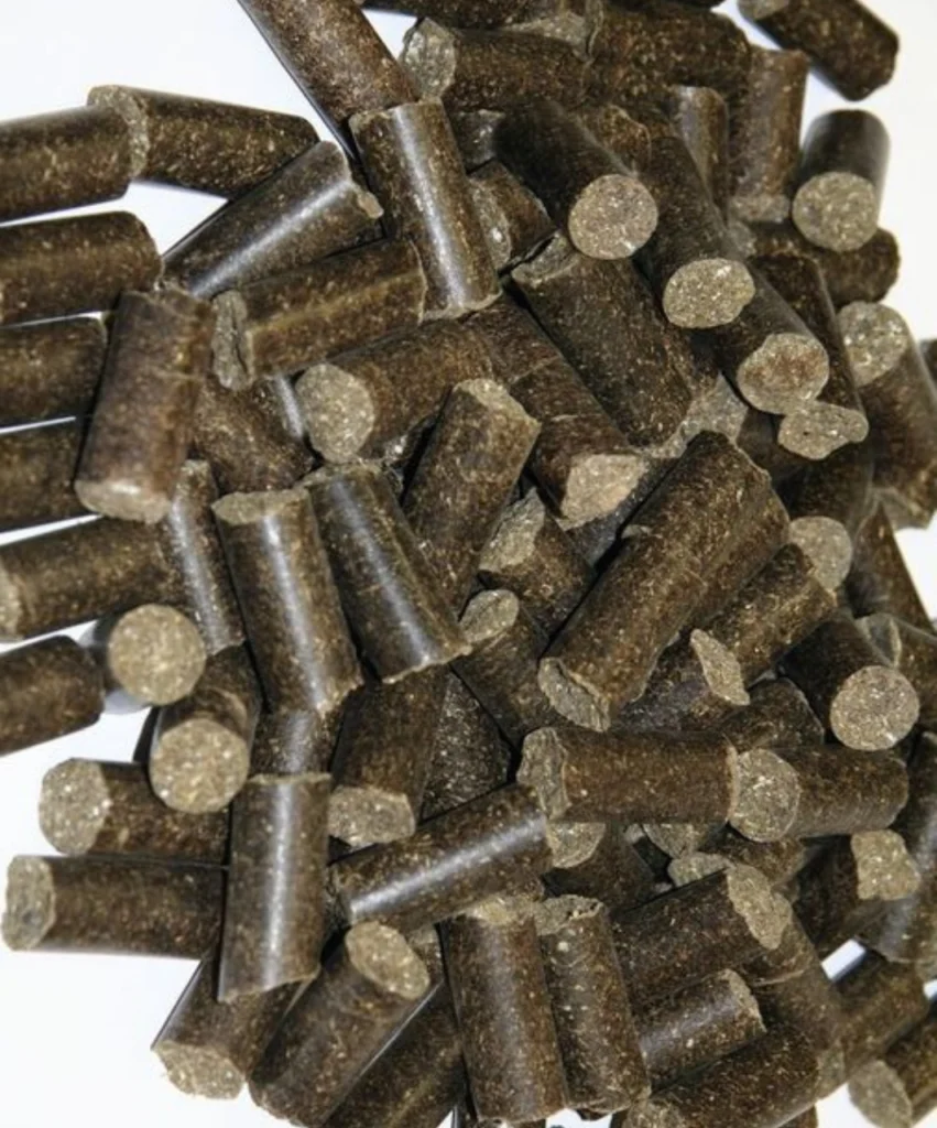 Cashew Nut Shell Pellets Calorific Value: Technical Analysis
