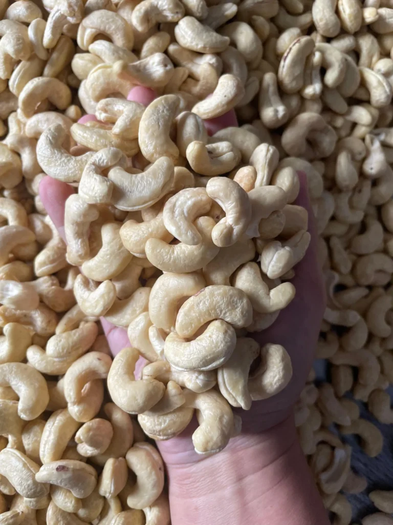 W240 vs W320 Cashew Nuts: What’s the Difference?