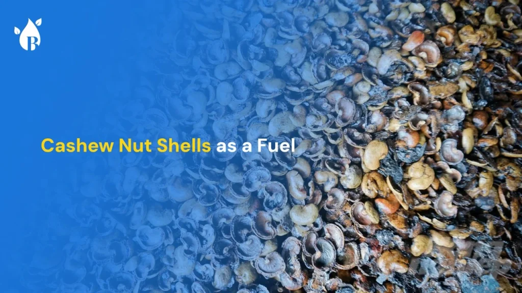 How to Import High-Calorific Cashew Nut Shell Biomass Pellets from Vietnam