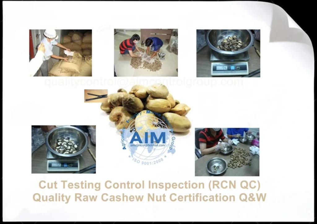 Understanding the Specifications (COA) of High-Quality Cashew Shell Pellets