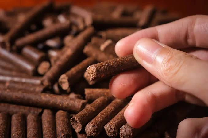 Cashew Nut Shell Pellets as an Alternative Fuel: Sustainable Energy for Industry